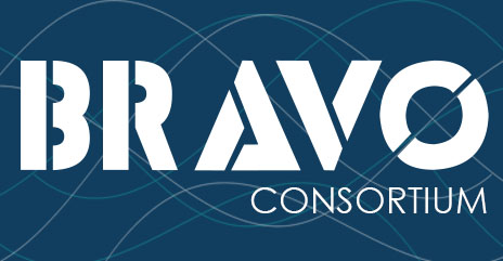 BRAVO Consortium logo only BRAVO Consortium logo only